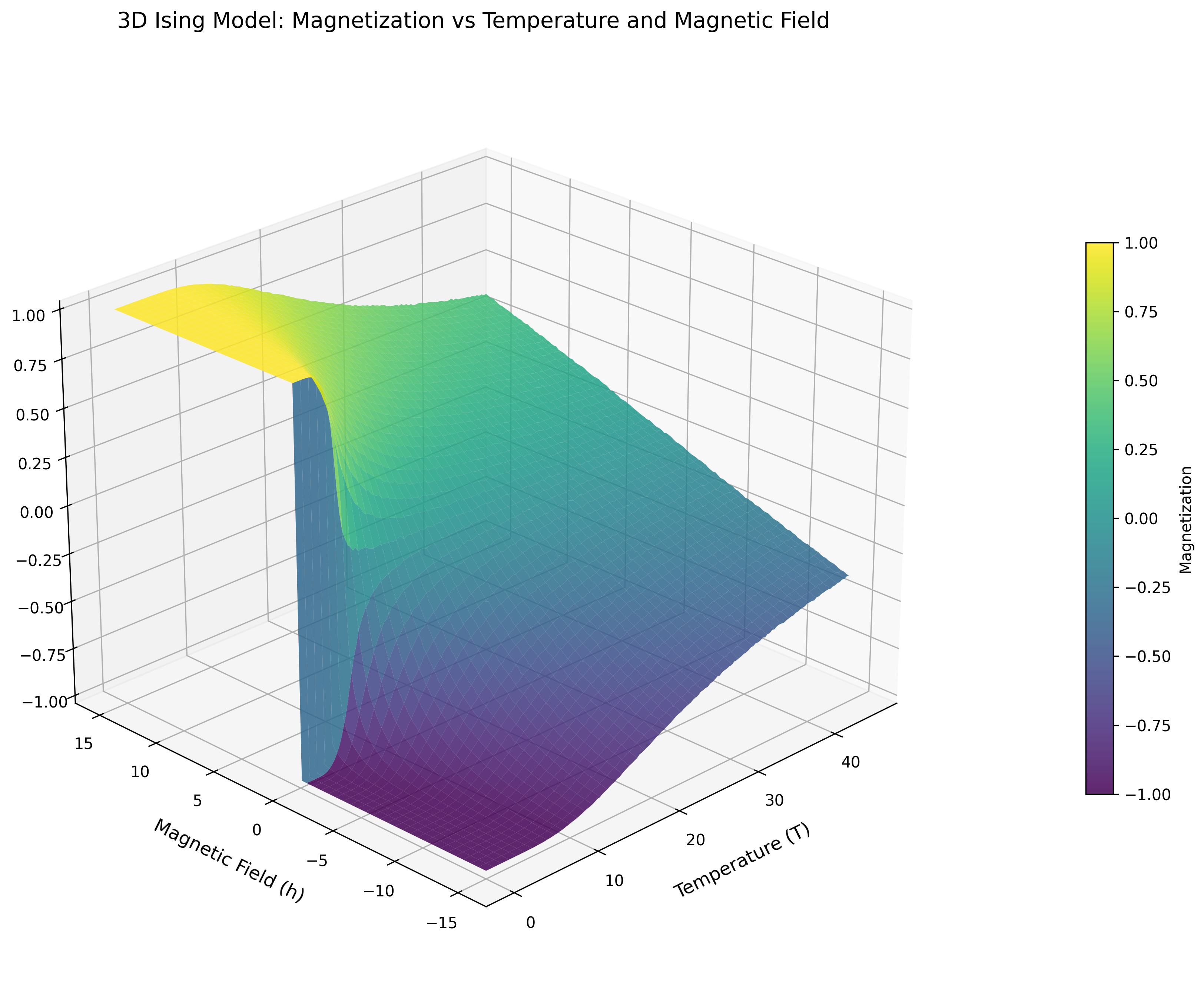 Ising Model — 3D magnetization surface
